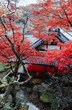 澳门赌场几岁-澳门赌场年龄限制，法律与安全的考量