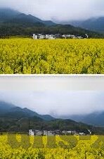 乐鱼体育违法-乐鱼体育涉嫌违法问题的深度审视